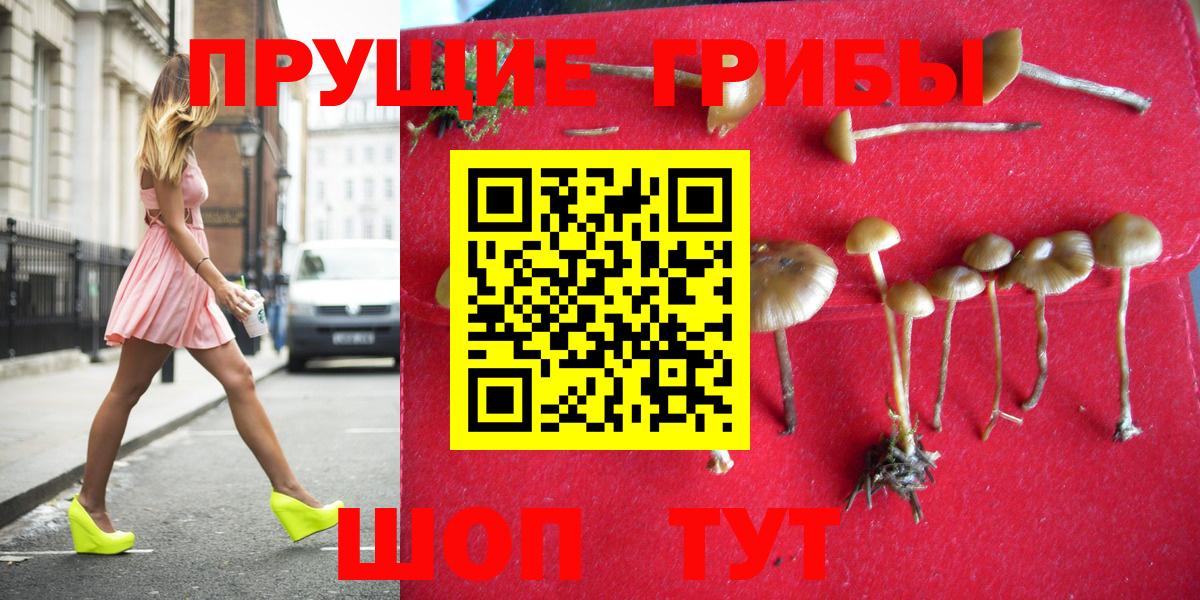 Галлюциногенные грибы мицелий  Вход с VPN  Псилоцибиновые грибы GOLDEN TEACHER  Вольск 